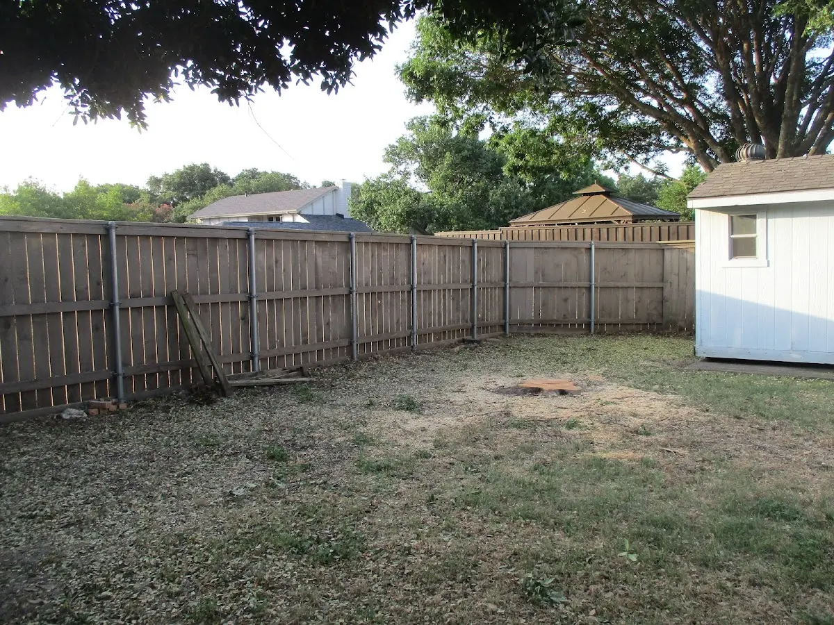 Cleared yard after professional tree removal in Marcus