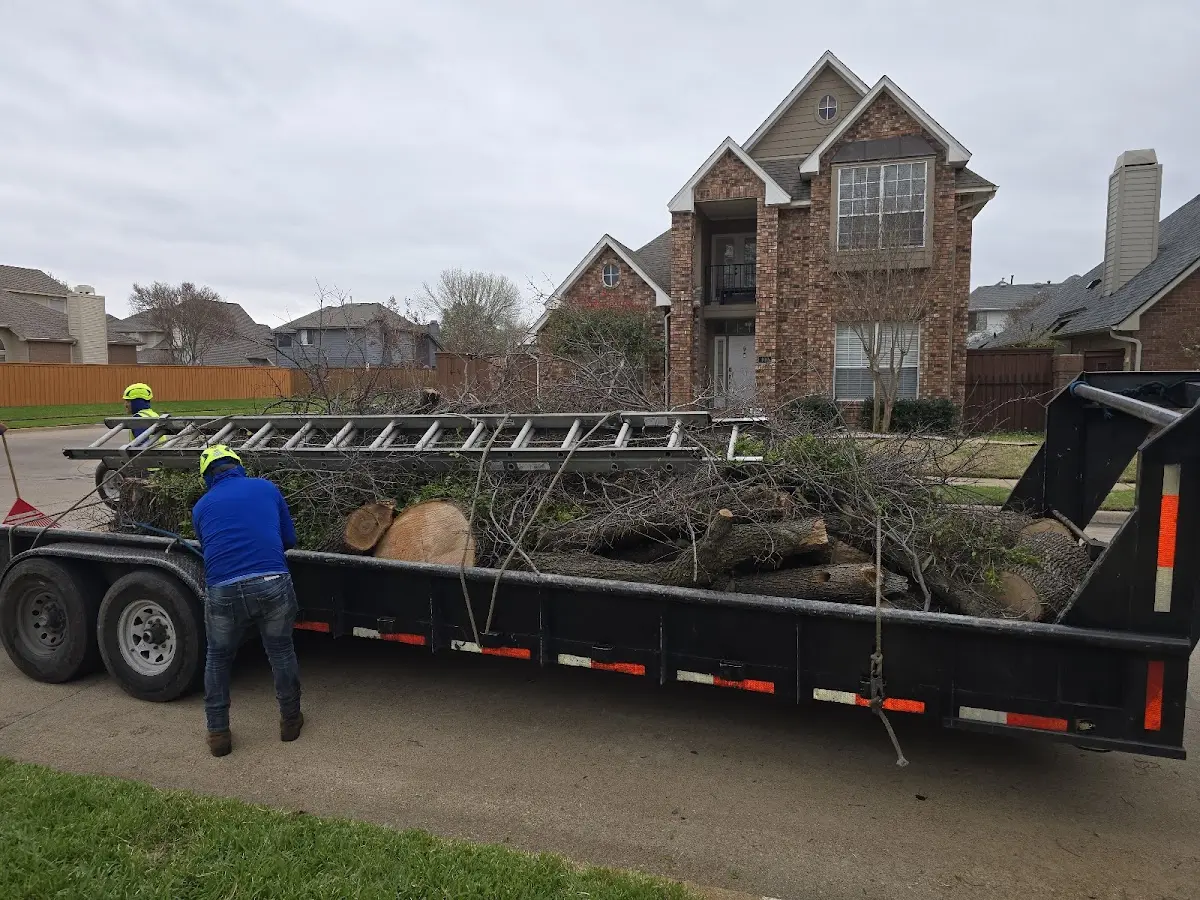 Expert Tree Fertilization with proper safety equipment in Marcus